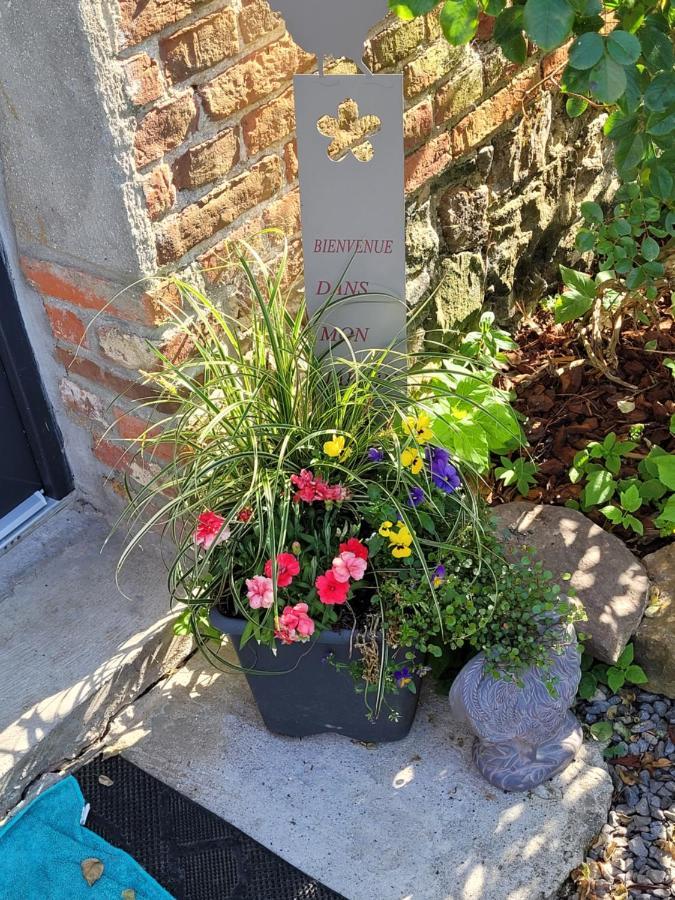 Studio Bienvenue Du Cote De Chez Nous Avec Jardin Privatif Wignehies Exterior foto