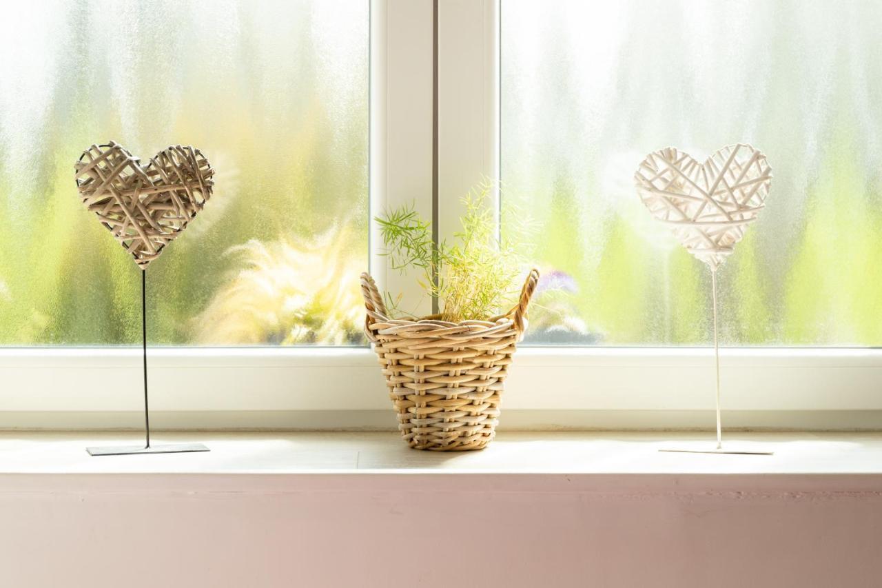 Studio Bienvenue Du Cote De Chez Nous Avec Jardin Privatif Wignehies Exterior foto