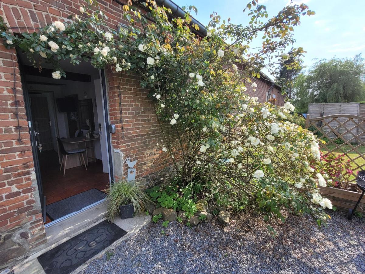 Studio Bienvenue Du Cote De Chez Nous Avec Jardin Privatif Wignehies Exterior foto